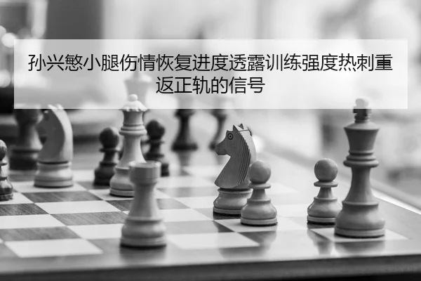 sun-xing-min-xiao-tui-shang-qing-hui-fu-jin-du-tou-lu-xun-lian-qiang-du-re-ci-chong-fan-zheng-gui-de-xin-hao-2-713.jpg